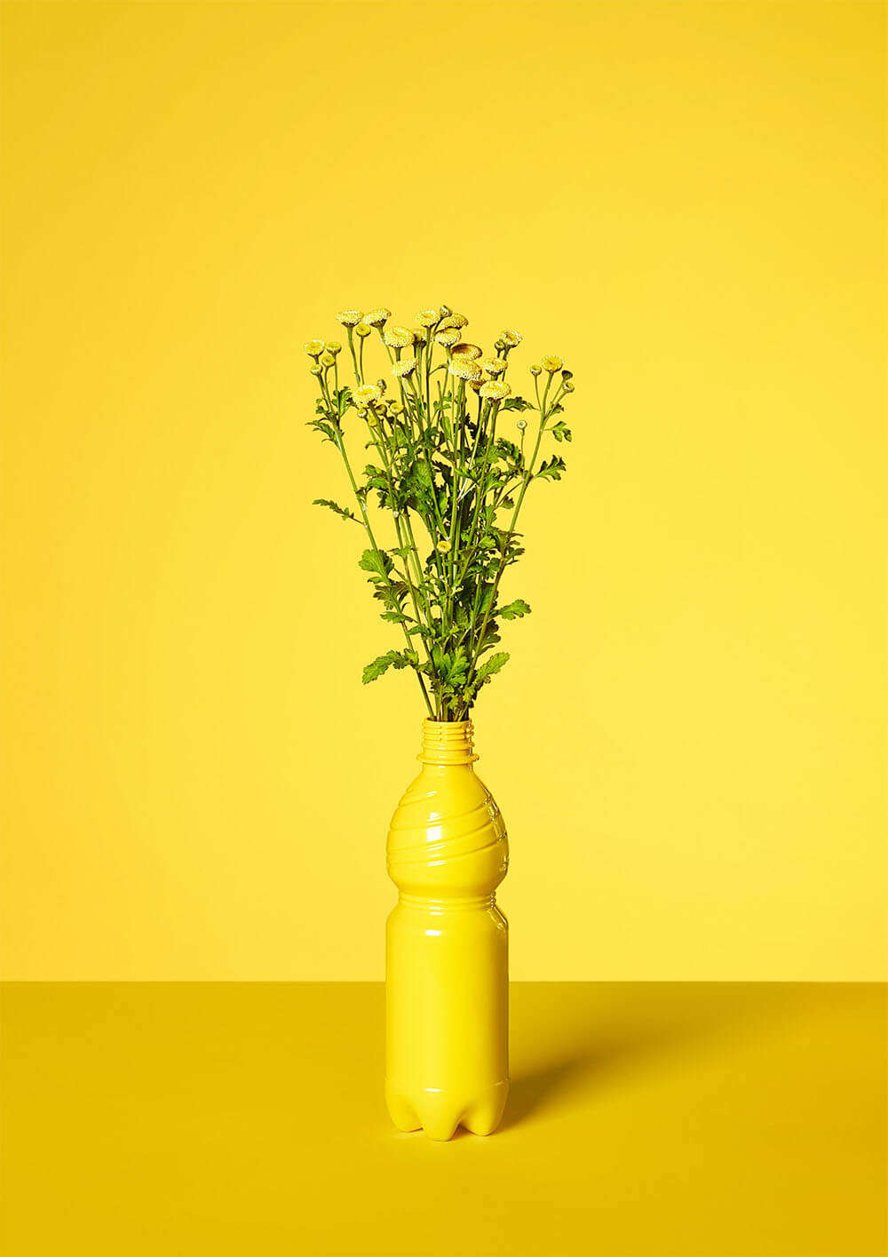 Vanessa Leissring - zdjęcie żółtych kwiatów w plastikowej butelce